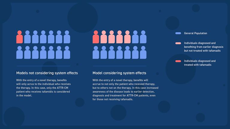 Tafamadis system effect diagram
